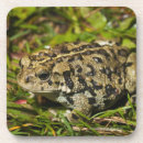 Search for two sided coasters Wildlife