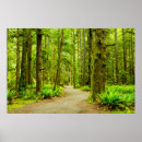 Search for footpath posters Fern