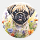 Search for pug puppy stickers Pet