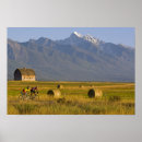 Search for road cycling posters Mountain