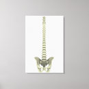 Search for backbone art Intricacy