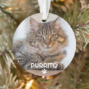 Search for pet memorial ornaments Simple