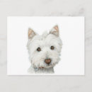 Search for westies postcards Cute