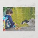 Search for pond horizontal postcards Countryside