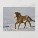 Search for snows postcards Golden