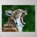 Search for bobcat posters Lynx