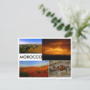 Search for camel photography Morocco