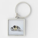 Search for animal care key rings Animals