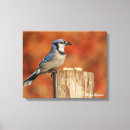 Search for bird watcher canvas prints Birdnerd