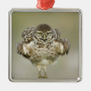 Search for behaviour christmas tree decorations Bird