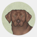 Search for chocolate lab stickers Brown