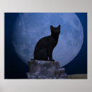 Search for cat full moon posters Moonlight