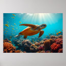 Search for underwater posters Turtle