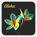 Search for hawaiian plumeria stickers Aloha