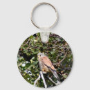 Search for wild round key rings Brown