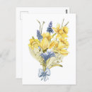 Search for yellow daffodil postcards Botanical