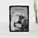 Search for lot cards Thinking of you