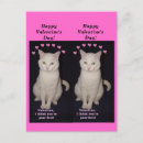 Search for funny dog valentines day cards Romance