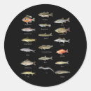 Search for freshwater stickers Species