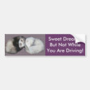 Search for ferret bumper stickers Animals