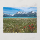 Search for national gallery postcards Flower