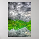 Search for bayou Trees