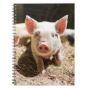 Search for piglet notebooks Farm animal