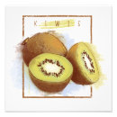 Search for kiwi art nature