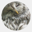 Search for bird of prey stickers Birds