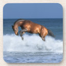 Search for leap coasters Sea