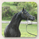 Search for arabian coasters Black
