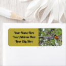 Search for oriole return address labels Nature