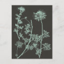 Search for charcoal grey postcards Flower