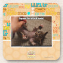 Search for attack coasters I can has cheezburger