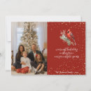 Search for red cardinal bird christmas cards Winter birds