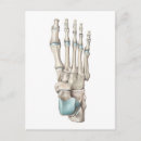 Search for foot postcards Anatomy