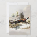 Search for common stamps invitations Pheasant