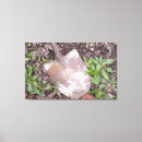 Search for rusty canvas prints Photograph