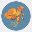 Search for vintage poppies stickers California