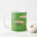 Search for wild mushroom mugs Fungi