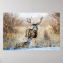 Search for buck and doe art Winter
