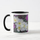 Search for california state mugs Anza borrego