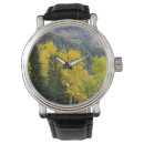 Search for deciduous forest accessories Aspen