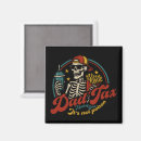 Search for skeleton magnets Retro
