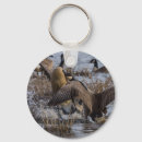 Search for canadian goose key rings Wildlife