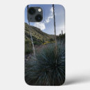Search for desert plants iphone cases Southwest