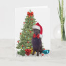 Search for chocolate lab christmas cards Pet