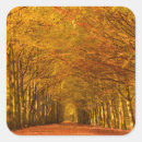 Search for path stickers Fall