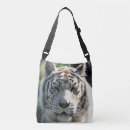 Search for tiger face bags Wildlife photography