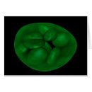 Search for chloroplast Cell